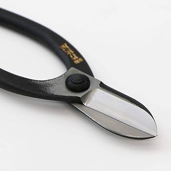 Amazon | 若狭屋 お花鋏（池坊型） | 園芸用はさみ