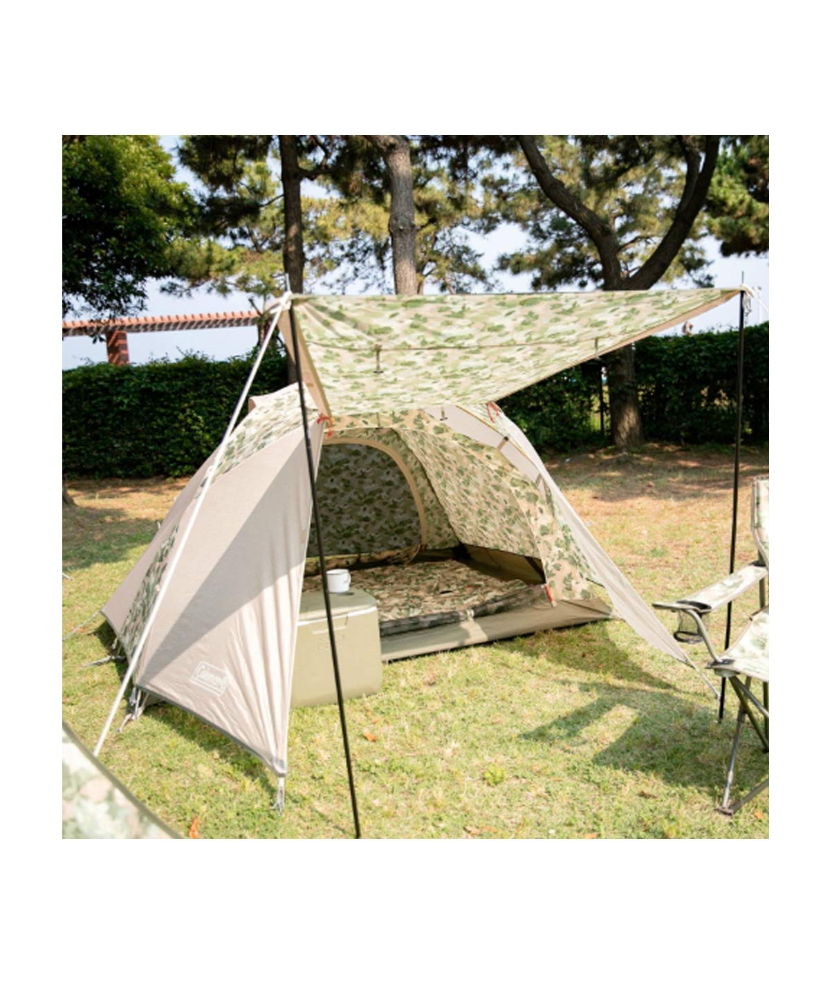 Amazon | Coleman(コールマン) スチールキャノピーポールセット 145