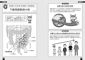 血管インパクト (イラストと雑学で楽しく学ぶ解剖学) | 原田 晃, 原田