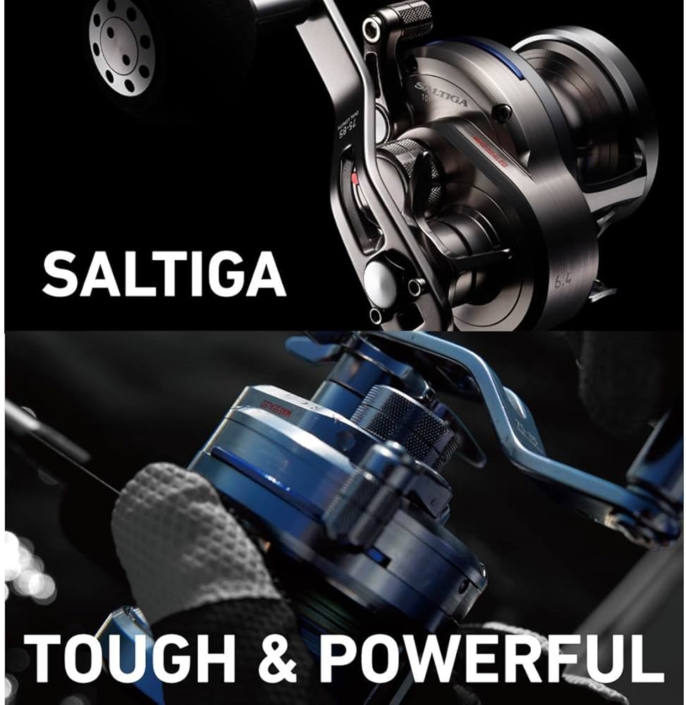 Amazon | ダイワ(DAIWA) ベイトリール 15 ソルティガ 15HL (2015モデル