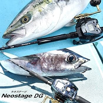 Amazon | ダイワ(DAIWA) Neostage DG 電動ジギング 60B-4 ブラック