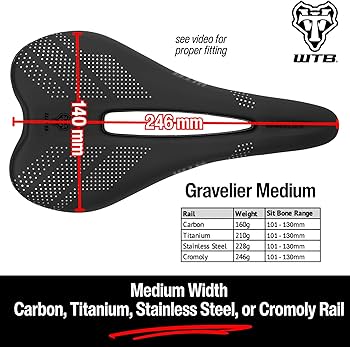 Amazon | WTB グラベリアバイクサドル – 246 x 140mm、フュージョン