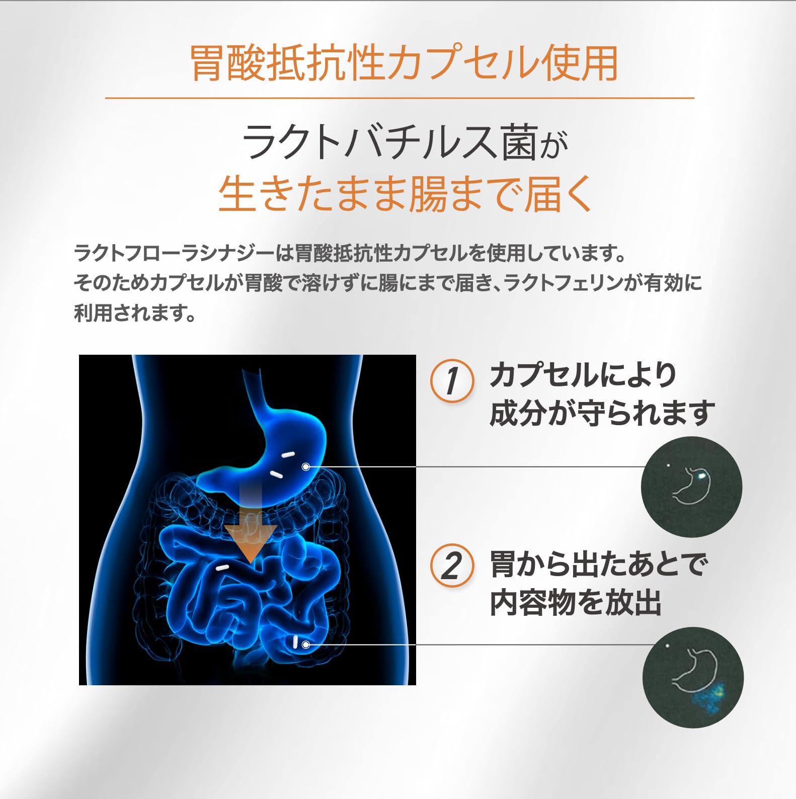 Amazon | ラクトフローラ シナジー 生きたラクトバチルス菌4種＋高