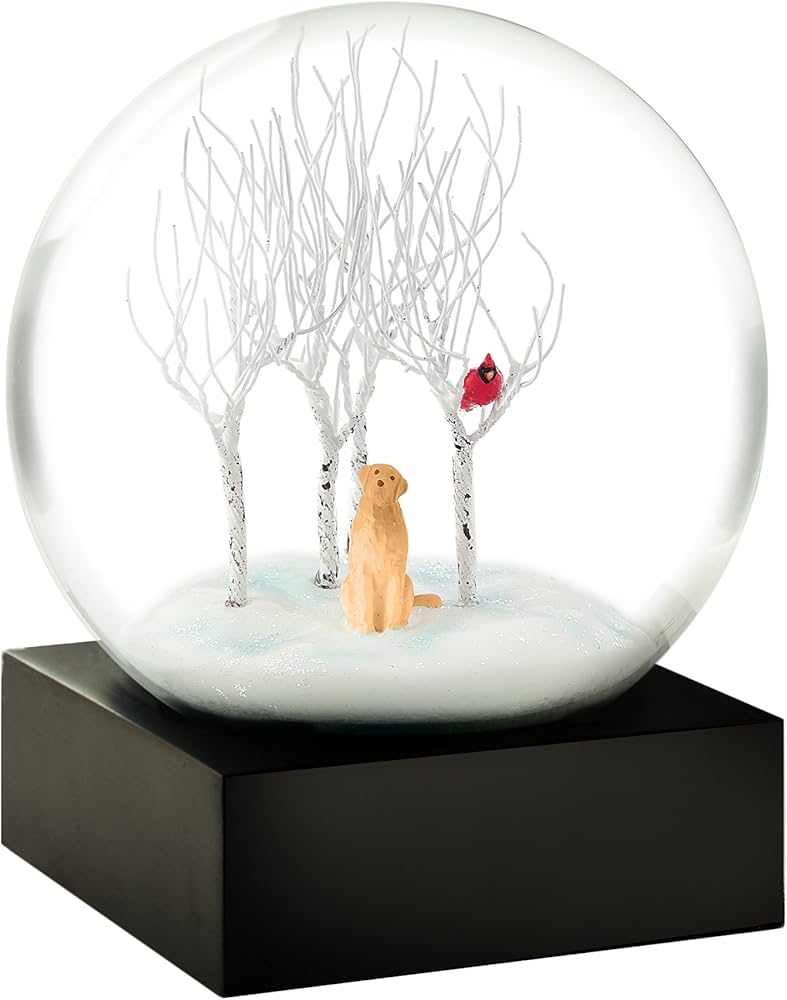 Amazon.com: CoolSnowGlobes Lab in The Woods Cool Snow Globe : Home