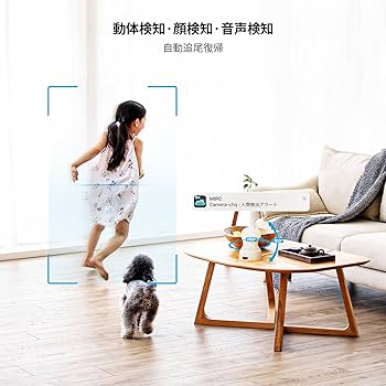 Amazon.co.jp: 【2023年・600万画素・アップグレード】 ieGeek最新室内