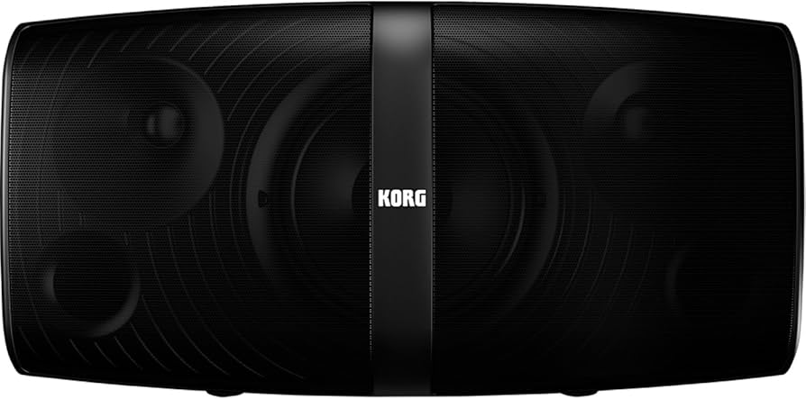Amazon.co.jp: KORG ポータブル・ステレオPAシステム KONNECT : 楽器