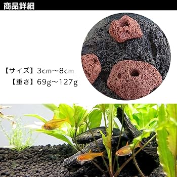 Amazon | S-NET 溶岩 石 火山 岩 水槽 穴あき オブジェ 10個 セット