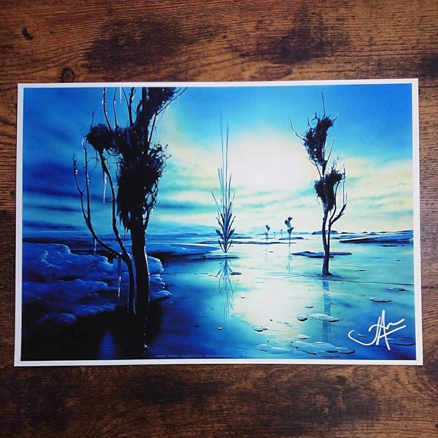 Amazon.co.jp: MTG《アダーカー荒原/Adarkar Wastes》John Avon サイン