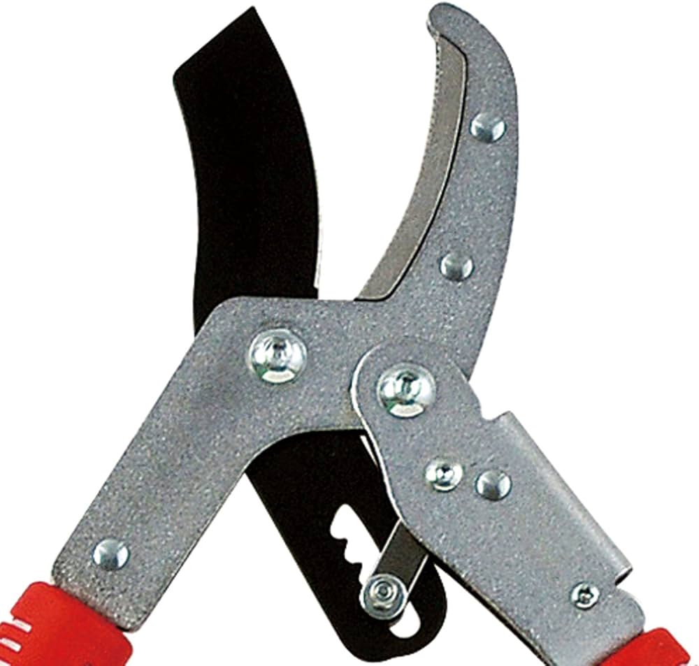 71hHfC77ekL._AC_UF1000,