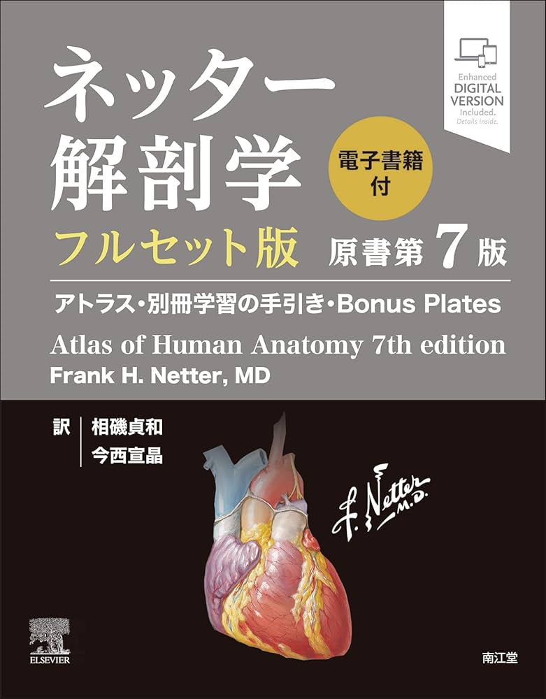 Amazon.co.jp: ネッター解剖学 フルセット版【電子書籍付】(原書第7版