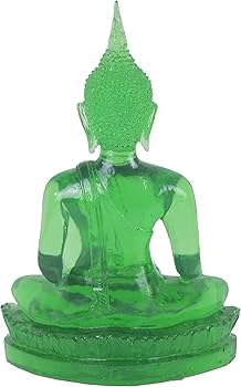 71hWV+raBWL._AC_UF350,