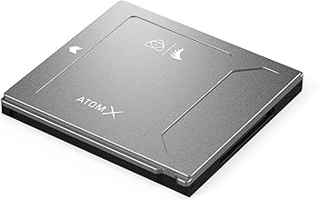 Amazon.com: Angelbird - AtomX SSDmini - 2 TB - SATA 3.1, up to 6