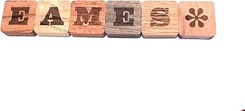 Amazon.co.jp: ふたりのイームズ:建築家チャールズと画家レイ特装版