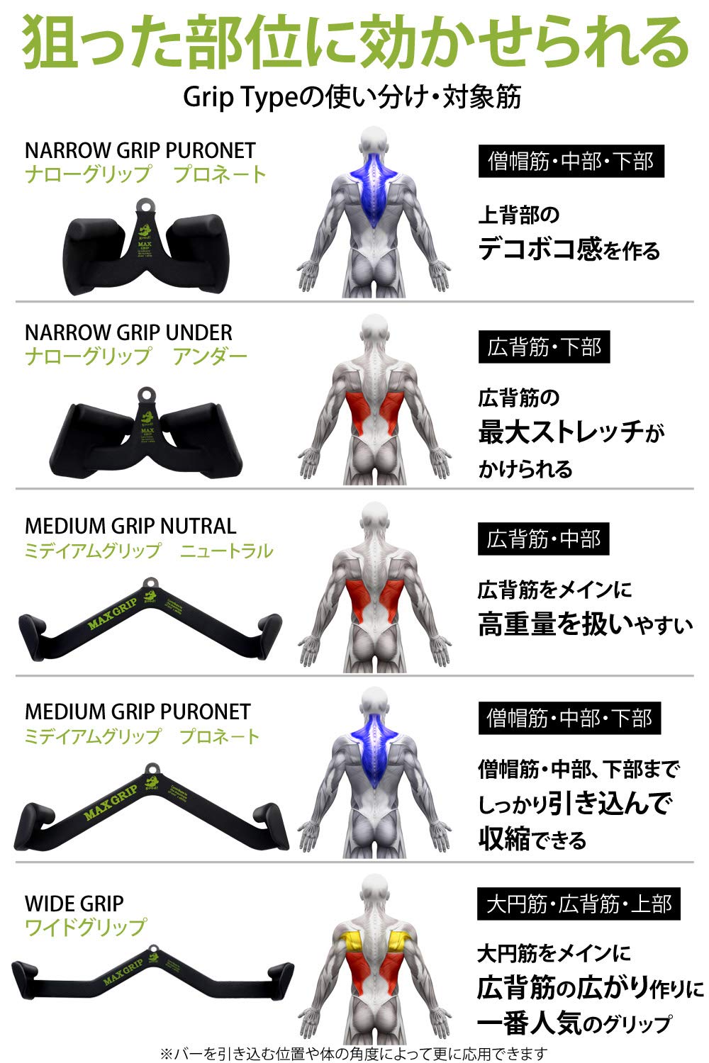 Amazon | MAX GRIP マググリップ パワーグリップ が要らない ラット