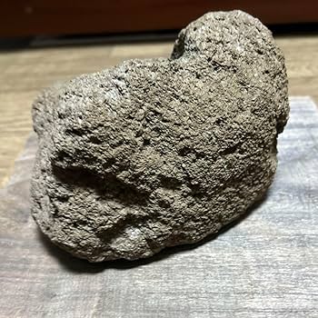 Amazon.co.jp: 山渓鉢 一点モノ 軽石鉢 溶岩石 植木鉢 盆栽 多肉植物