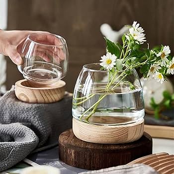 Amazon | 金魚鉢 花瓶 ガラス 花びん テラリウム 観葉植物 インテリア