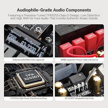 Amazon.com: AIYIMA A07 MAX 2 Channel Stereo Amplifier Home Audio