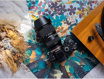 Amazon.co.jp: 28-75mm F/2.8 Di III VXD G2 A063S ソニーEマウント用