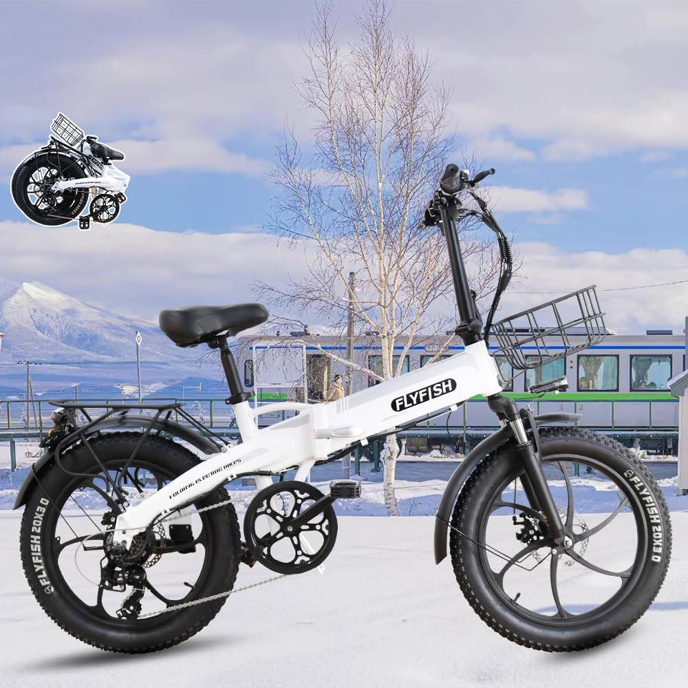 Amazon | 2024年新型 型式認定 FLYFISH 電動アシスト自転車 20インチ