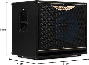 Amazon | Ashdown アッシュダウン アンプ キャビネット 1X15