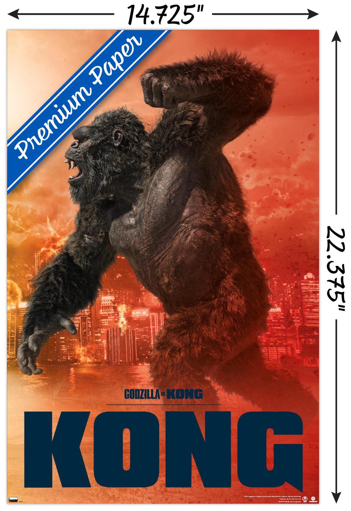 Amazon.com: Godzilla vs. Kong - Kong Wall Poster, 22.4L