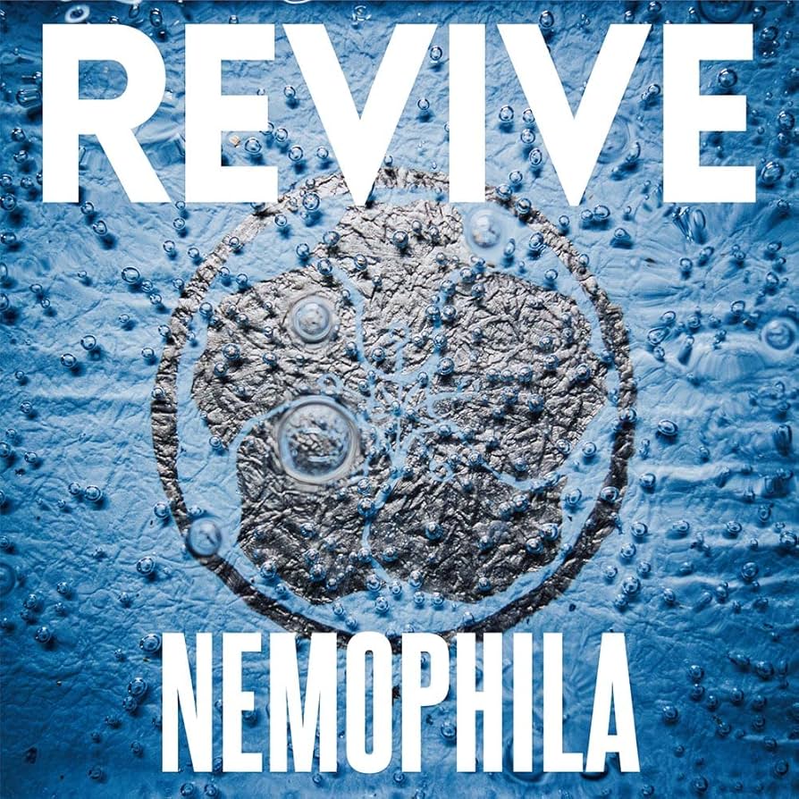 Amazon.co.jp: REVIVE (通常盤): ミュージック