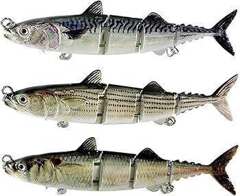 Amazon.co.jp: リアル ミノー ビッグベイト ジョイント ぐねぐね