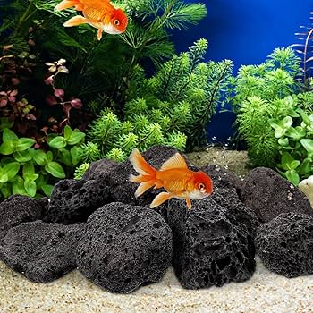 Amazon | Kisangel 溶岩石 約2〜4cm 盆栽 花壇 水槽 金魚 水草 苔盆栽