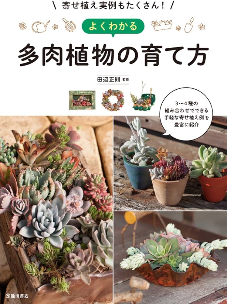 寄せ植え実例もたくさん！ よくわかる多肉植物の育て方 | 田辺正則 |本