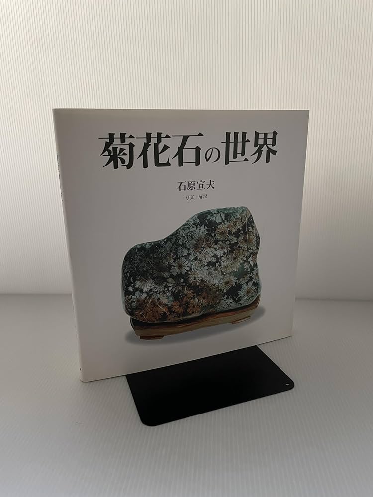 Amazon.co.jp: 菊花石の世界 : 石原 宣夫: Japanese Books