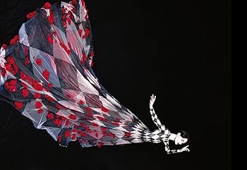 Erik Madigan Heck: The Tapestry : Heck, Erik Madigan: Amazon.ca: Books