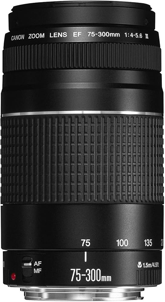 Amazon.com : Canon EF 75-300mm f/4-5.6 III Telephoto Zoom Lens for