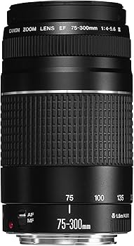 Amazon.co.jp: Canon EFレンズ EF75-300mm F4-5.6 IIIズームレンズ