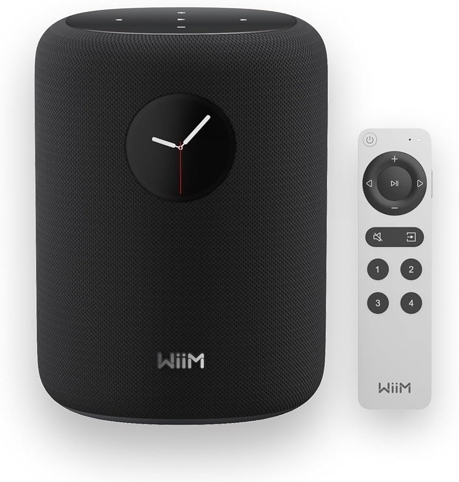 Amazon.com: WiiM Sound Smart Speaker with 1.8″ Touch Display, Hi
