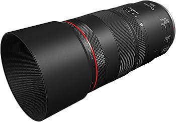 Amazon.com : Canon RF100mm F2.8 L Macro is USM : Electronics