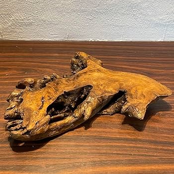 Amazon.co.jp: 866 花台 盆栽台 流木インテリア 生け花 : おもちゃ