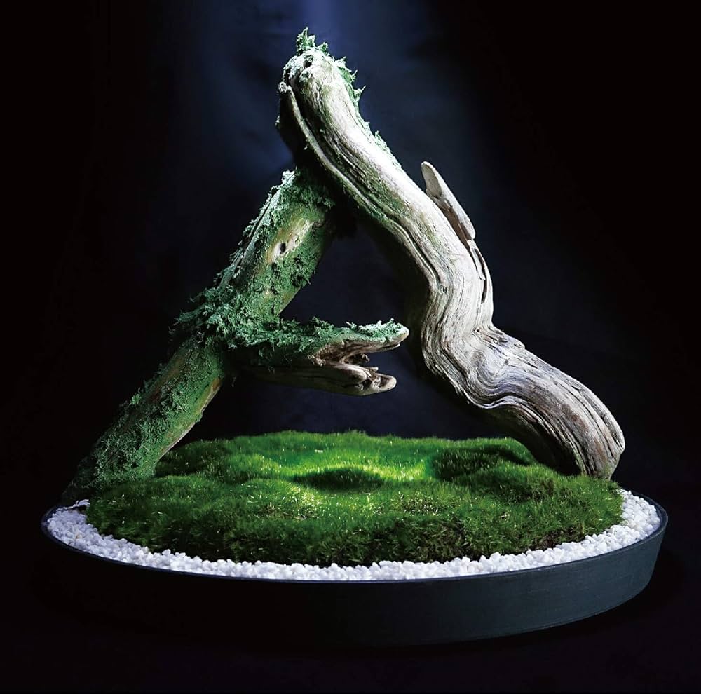 Amazon.co.jp: ATOLS/MIKU 3: ミュージック