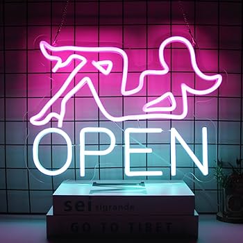 Amazon.co.jp: オープンネオン看板 バーLED看板 ピンクレディース