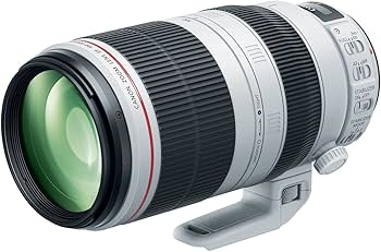 Amazon.com : Canon EF 100-400mm f/4.5-5.6L is II USM Lens, Lens