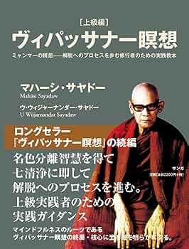 ヴィパッサナー瞑想[上級編] ミャンマーの瞑想――解脱へのプロセスを