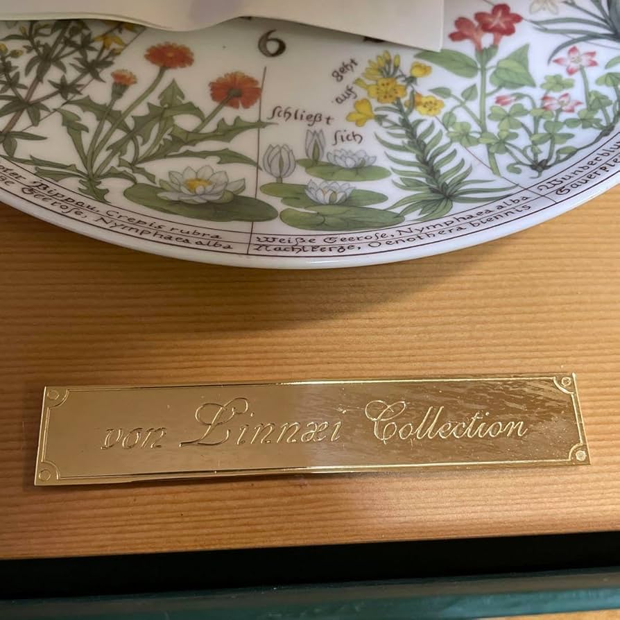 Amazon.co.jp: Noritake ノリタケ リンネコレクション 特製額装入り皿