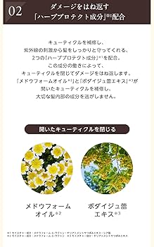 Amazon | サントリー enherb エクストラリペア コンディショナー