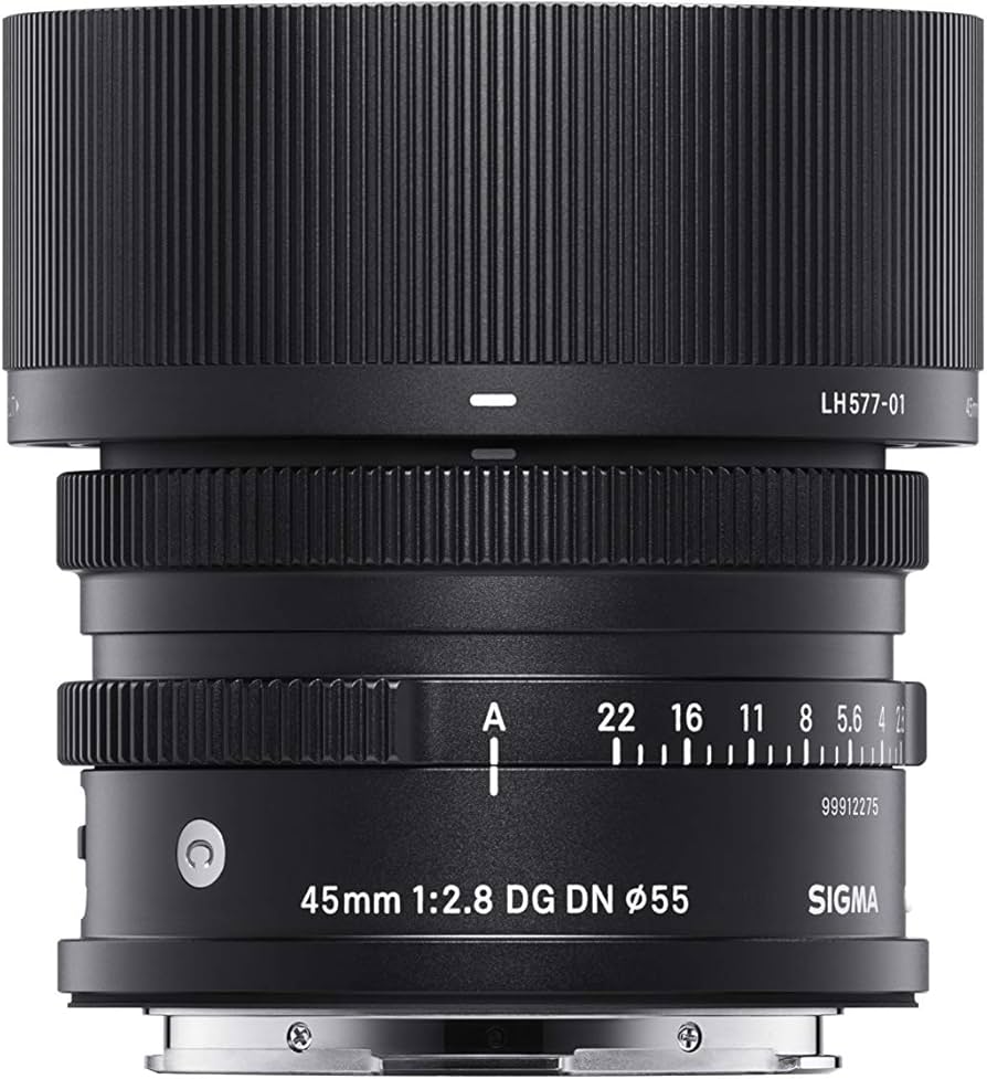 Amazon.com : Sigma 45mm F2.8 Contemporary DG DN Lens for Sony E