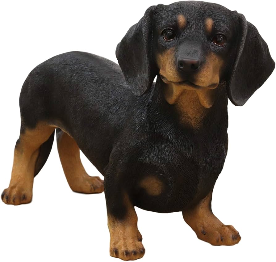 Amazon.co.jp: Ebros 愛らしい 大型 本物そっくり 黒と黄褐色 ダックス
