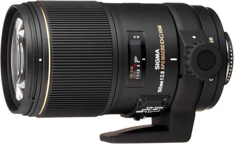 Amazon.com : Sigma 150mm f/2.8 AF APO EX DG OS HSM Macro Lens for