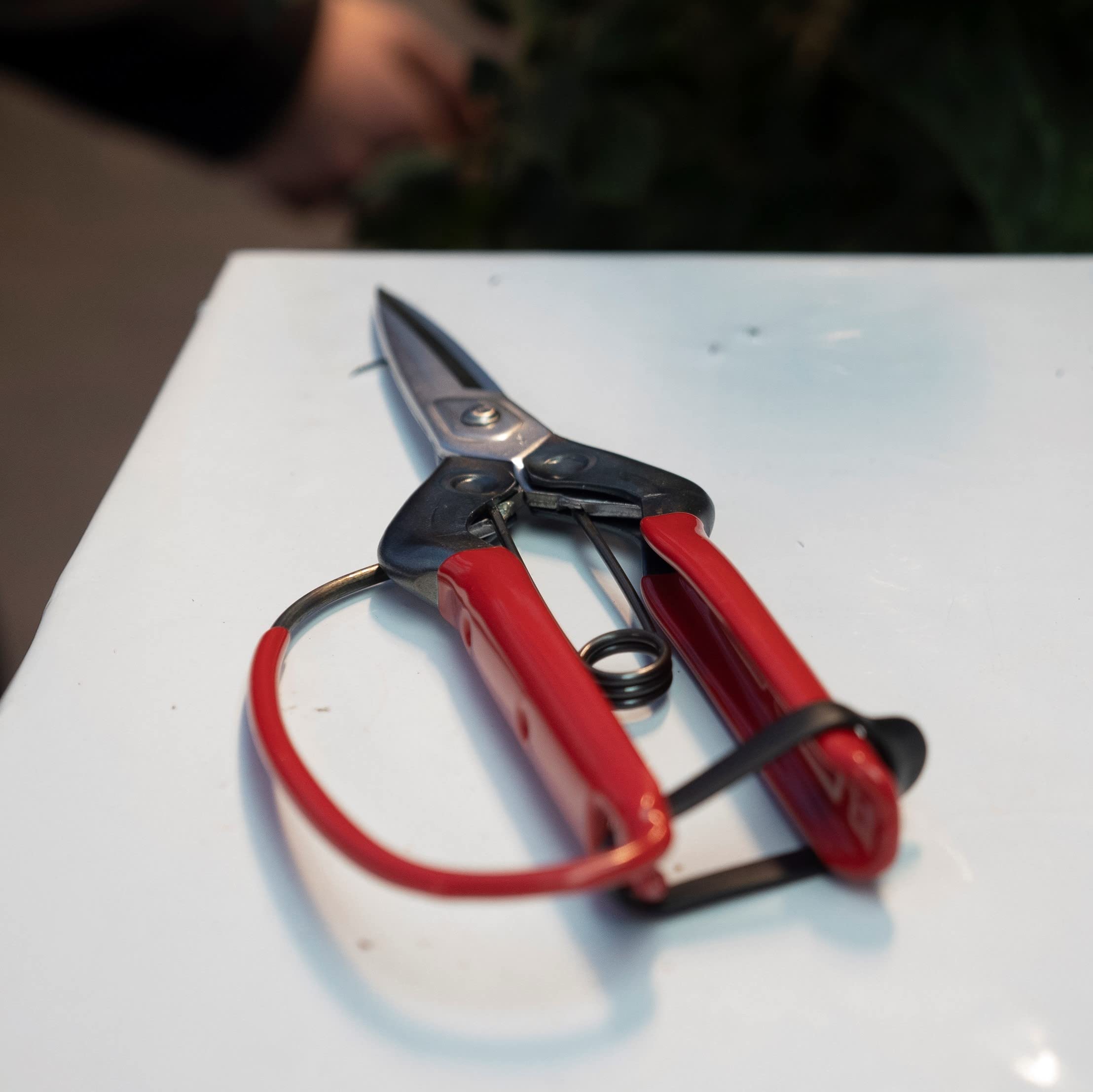 Amazon | CHIKAMASA 本職園芸用 松葉鋏 T-710GDX | 園芸用はさみ