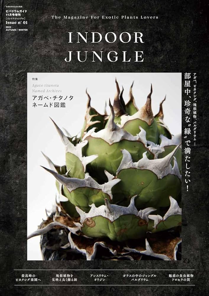INDOOR JUNGLE 5冊セット インドアジャングル」の記事一覧 ｜ エムピー
