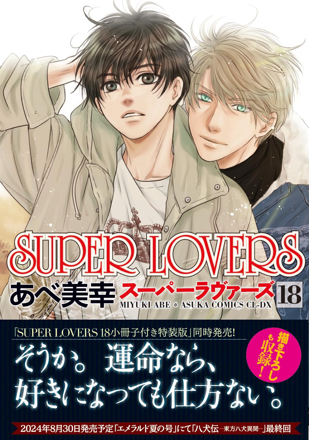 Amazon.co.jp: SUPER LOVERS 第18巻 (あすかコミックスCL-DX) : あべ