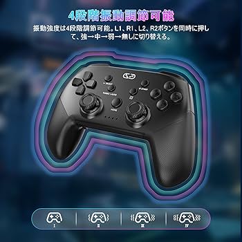 Amazon.co.jp: Switch/スイッチ コントローラー 2024アップグレード