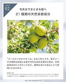 Amazon | LUTY ルーティー ヘアオイル モイスト 100ml 洗い流さない